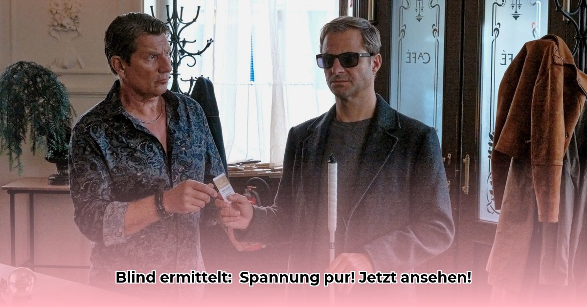 wien-krimi-blind-ermittelt